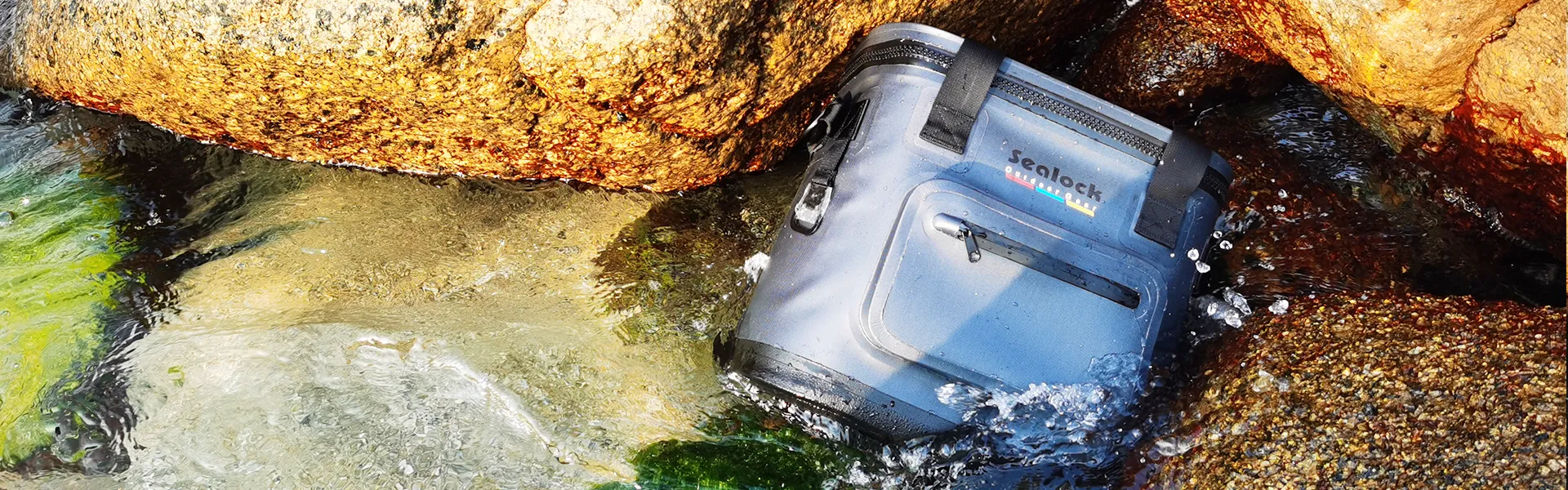 डाउनलोड गर्नुहोस्