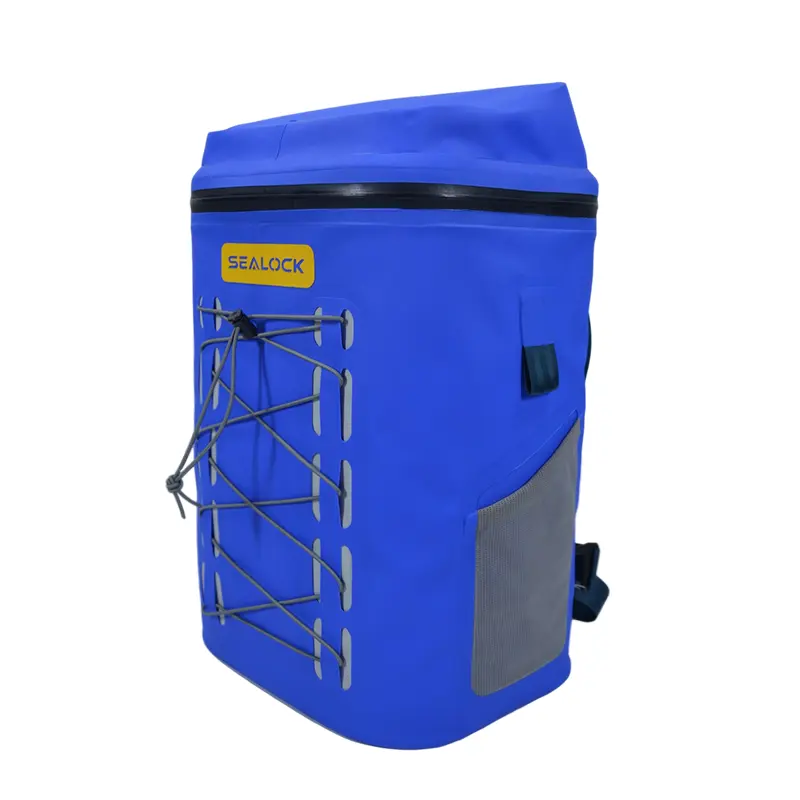 पिकनिक खाना कूलर झोला